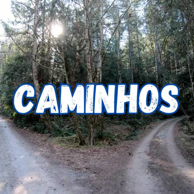 PROGRAMA CAMINHOS - ESCOLA MÃE DA DIVINA PROVIDÊNCIA | 2026