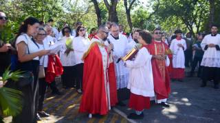 DSC_4723.jpg_original_copy_1