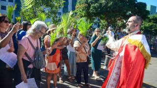 DSC_4730.jpg_original_copy_1