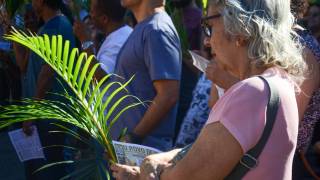 DSC_4734.jpg_original_copy_1