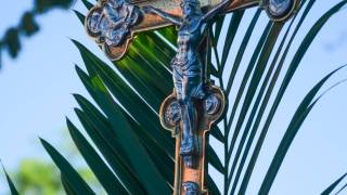 DSC_4735.jpg_original_copy_1