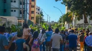 DSC_4761.jpg_original_copy_1