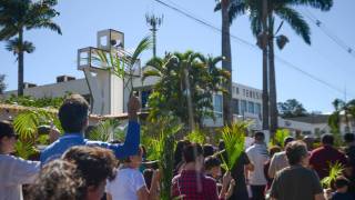 DSC_4787.jpg_original_copy_1