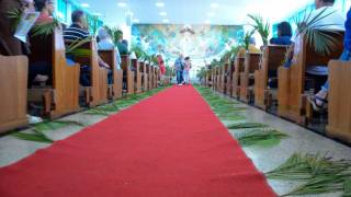 DSC_4808.jpg_original_copy_1