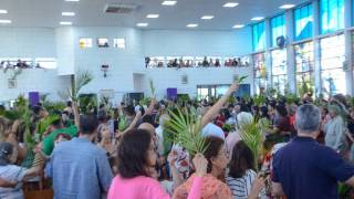 DSC_4814.jpg_original_copy_1