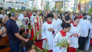 DSC_4823.jpg_original_copy_1