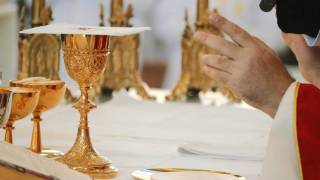 WhatsApp_Image_2026-03-30_at_08.53.03_original